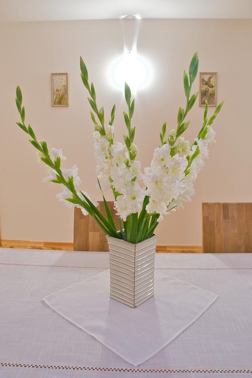 מלון מדונה Viesu Maja Janis מראה חיצוני תמונה
